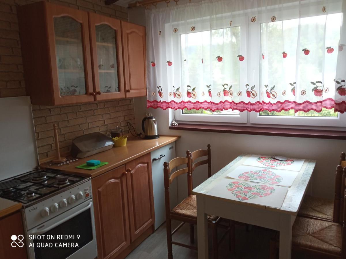 Domek I Apartamenty Stokrotka Криниця-Здруй Екстер'єр фото
